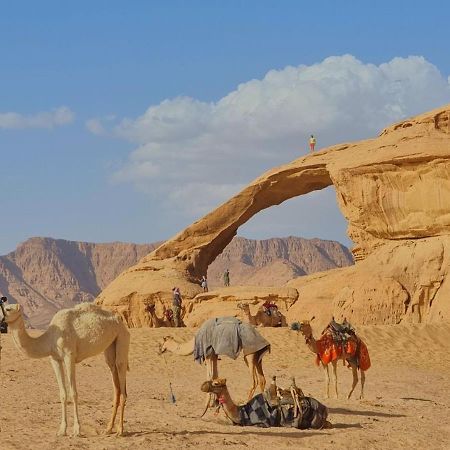Wadi Rum Desert Camp ภายนอก รูปภาพ