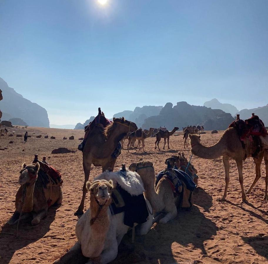 Wadi Rum Desert Camp ภายนอก รูปภาพ