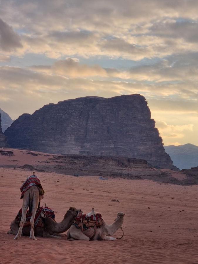 Wadi Rum Desert Camp ภายนอก รูปภาพ